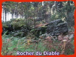 Cliquez pour agrandir l'image